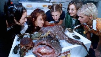 Freundinnen & andere Monster Trailer