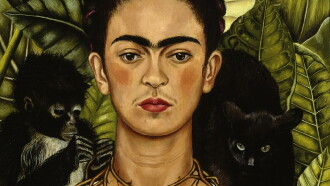 Frida Kahlo Trailer