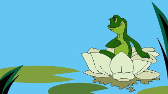 Frog the Traveller Trailer