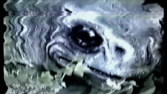Frogman Trailer
