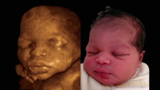 From Baby To Kiss Trailer