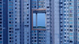 From Its Mouth Came a River of High-End Residential Appliances Trailer