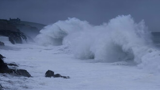 From the Wild Sea Trailer