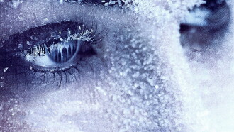 Frozen Kiss Trailer