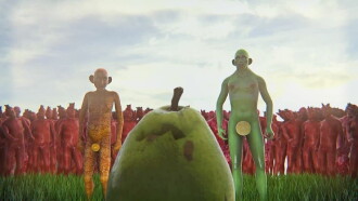 Fruit Trailer