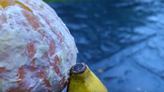 Fruitful Trailer