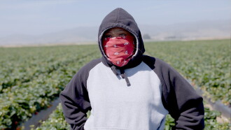Fruits of Labor Trailer