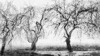 Fugue for Cello, Trumpet and Landscape Trailer