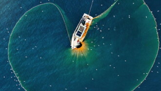 Full Tuna Trailer