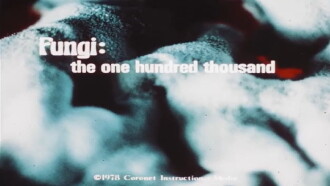Fungi: The One Hundred Thousand Trailer
