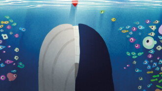 Funny Fish Trailer