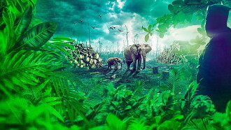Gabon: Earth's Last Chance Trailer