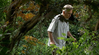 Garden of Life Trailer