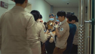 Garden, Zoological Trailer