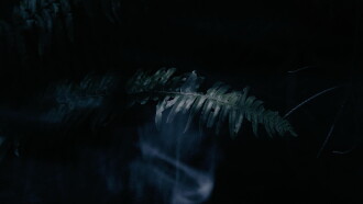 Ghost is Hungry Trailer