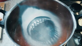 Ghost Shark 2: Urban Jaws Trailer