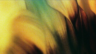 Glide of Transparency Trailer