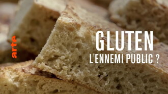 Gluten, the public enemy? Trailer