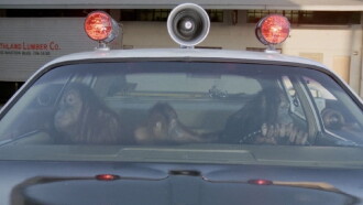 Going Ape! Trailer