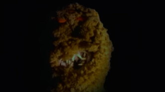 Goosebumps: It Came from Beneath the Sink Trailer