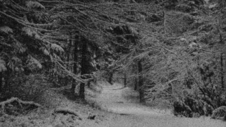 GPS Signal Lost Trailer