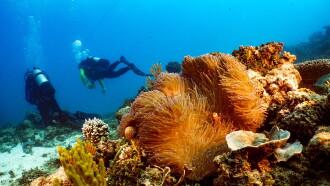 Great Barrier Reef: The Next Generation Trailer