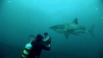 Great White Shark: A Living Legend Trailer