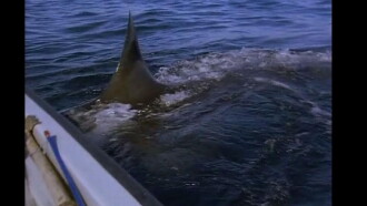 Great White Shark - The Silent Stalker Trailer