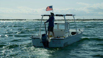Great White Summer Trailer