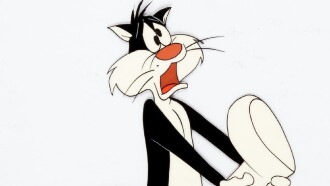 Greedy for Tweety Trailer