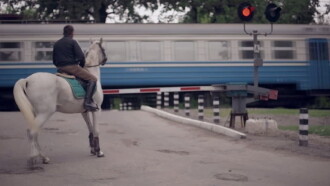 Grey Horses Trailer