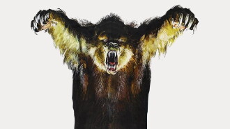 Grizzly Trailer
