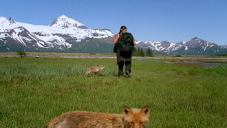 Grizzly Man Trailer