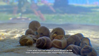 Guerra das conchas Trailer