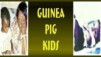 Guinea Pig Kids Trailer