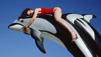Guy Bourdin‎ Trailer
