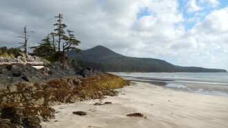 Haida Gwaii: On the Edge of the World Trailer