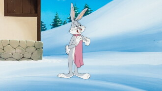 Half-Fare Hare Trailer