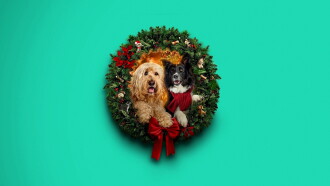 Happy Howlidays Trailer
