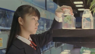 Harmful Insect Trailer