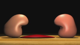 Has Beans Trailer