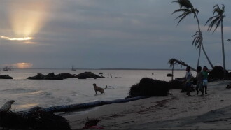 Haulover, Baiki Sakan Trailer
