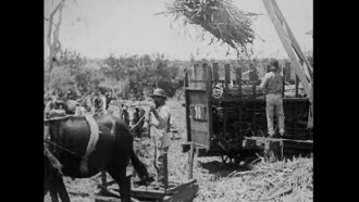 Hawaiian Islands Trailer