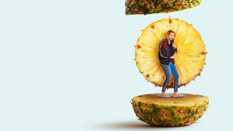 Hazel Brugger: Tropical Trailer