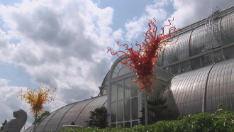 HD Moods: Chihuly in Nature Trailer