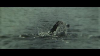 Headland Trailer