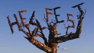 Hellfest 2020 - Quinze années de bruit et de fureur Trailer