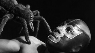 Hellish Spiders Trailer