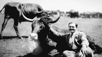 Hemingway Unknown Trailer