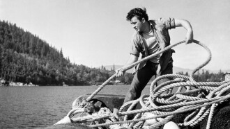 Herring Hunt Trailer